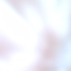 Meet your Posher, Noelia